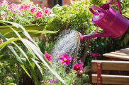 jardin.jpg