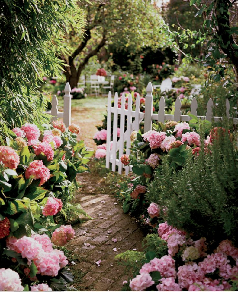 peinture-rose15.jpeg